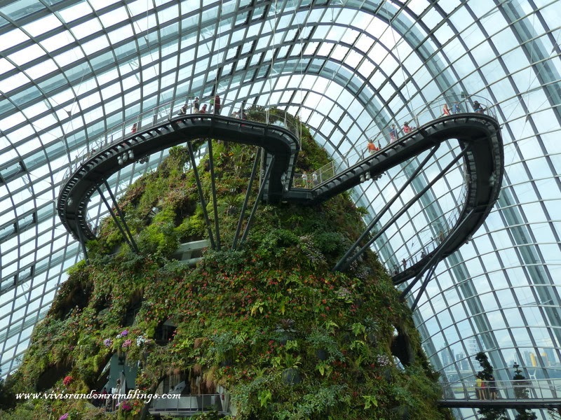 Cloud Forest Gardens by the Bay